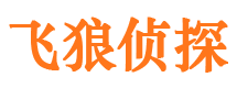 宝山市私家侦探